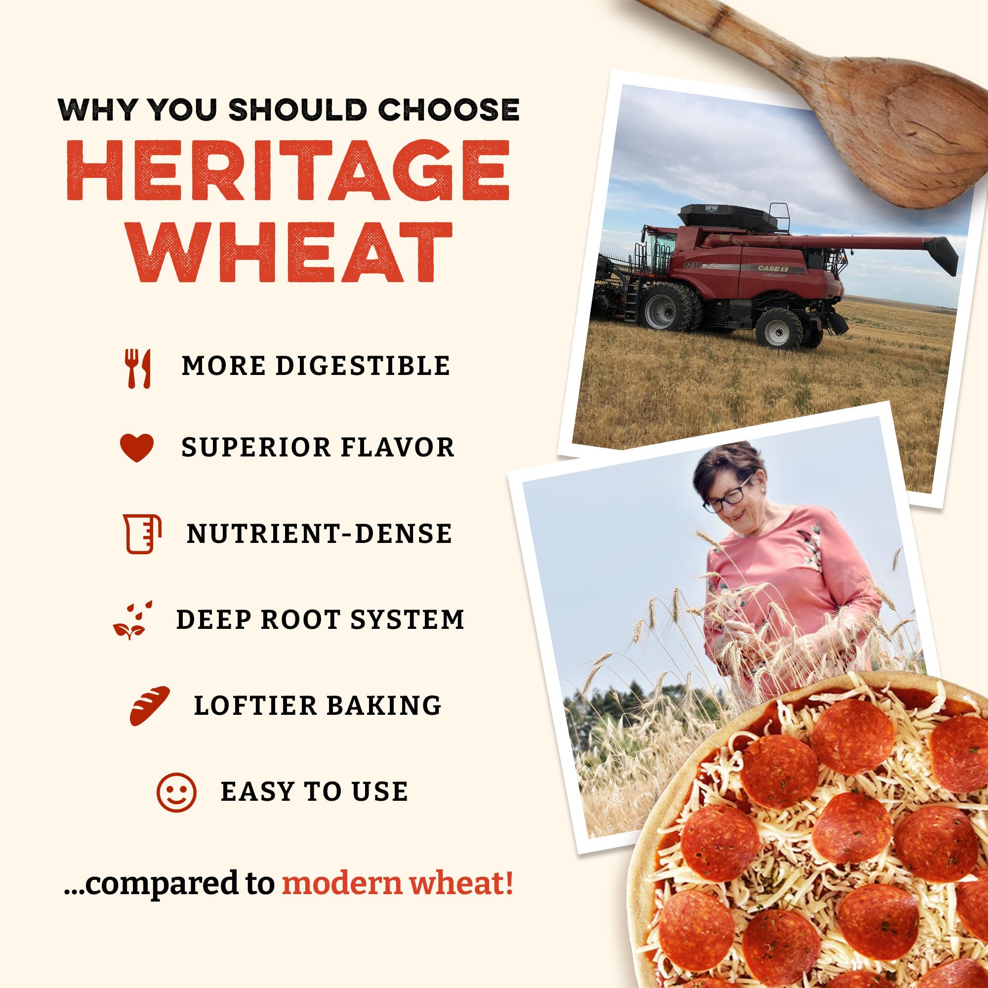 Sunrise Flour Mill fine flour texture close-up highlighting soft, ultra-fine milled grain