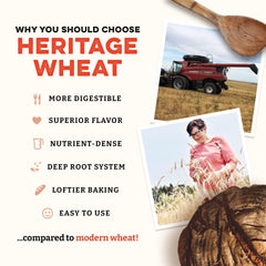 Sunrise Flour Mill close-up of blended heritage wheat texture and grind