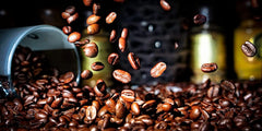 Generic Superlife Double Root Coffee size comparison with a coffee mug showing portable pack