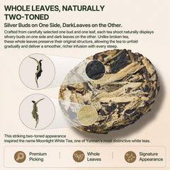 SVEYN closeup of silver buds and darker leaves showcasing aged tea quality and visual contrast