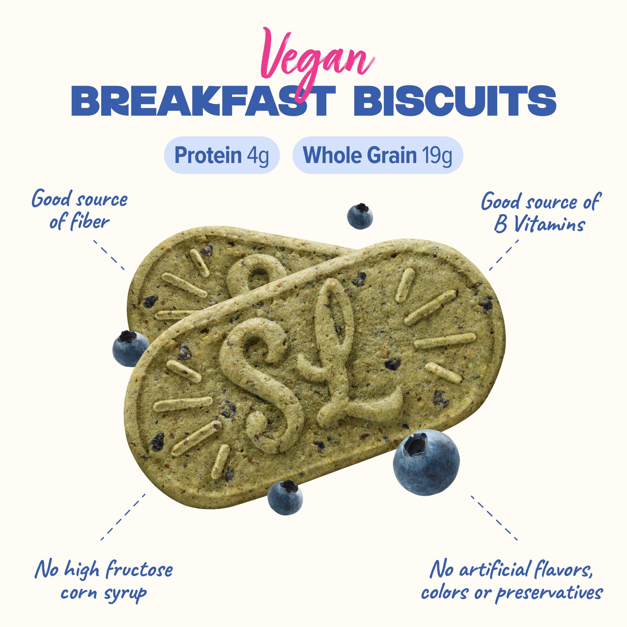 Sweet Loren's biscuit close-up with visible blueberry specks offering crunchy texture