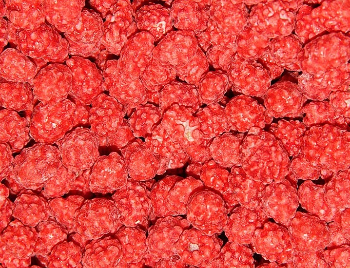 SweetGlob close-up of red candy shell on roasted peanut highlighting crisp texture and rich roast flavor