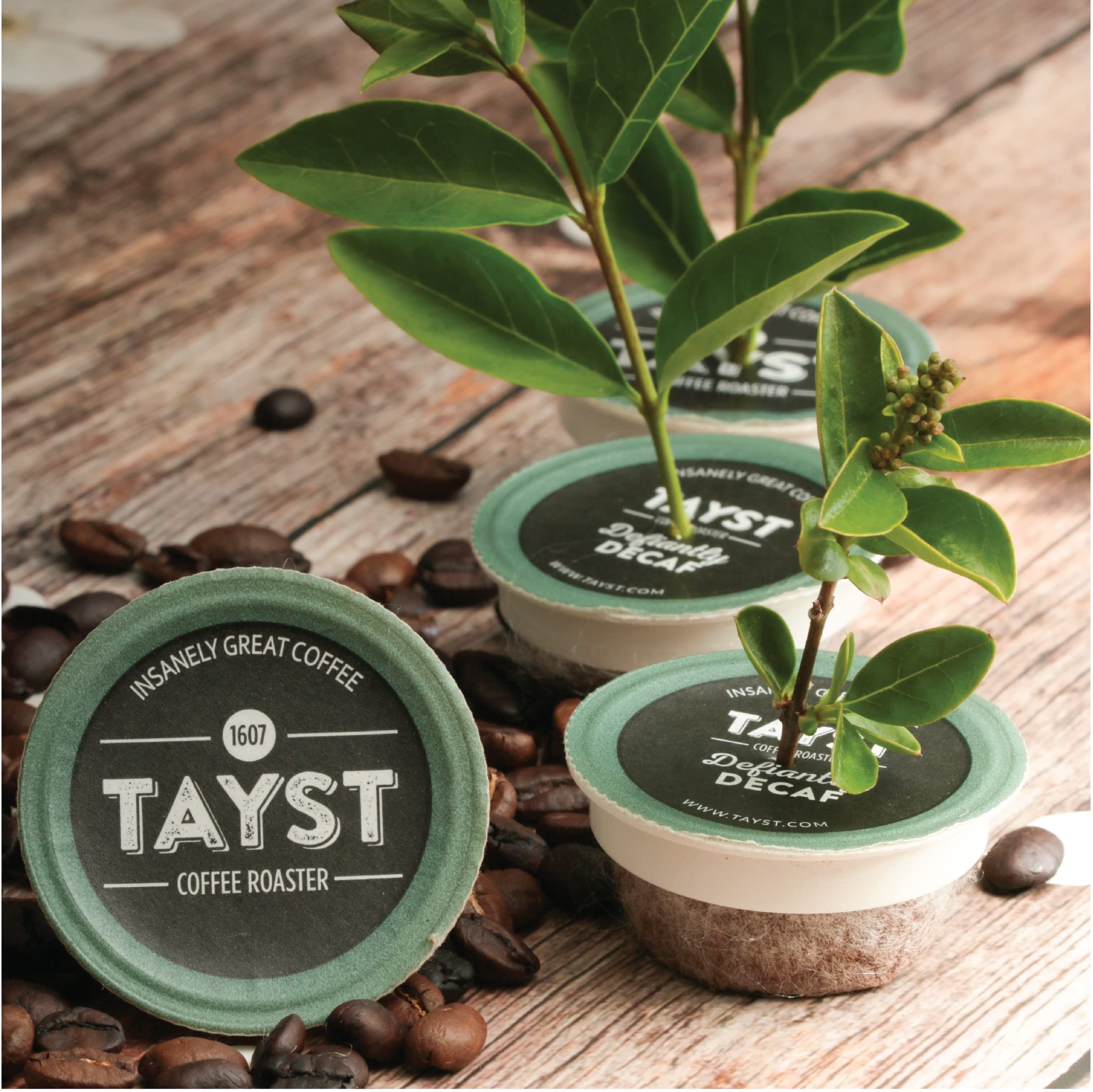 Tayst poured coffee in a mug beside pods, showcasing flavor and morning ritual