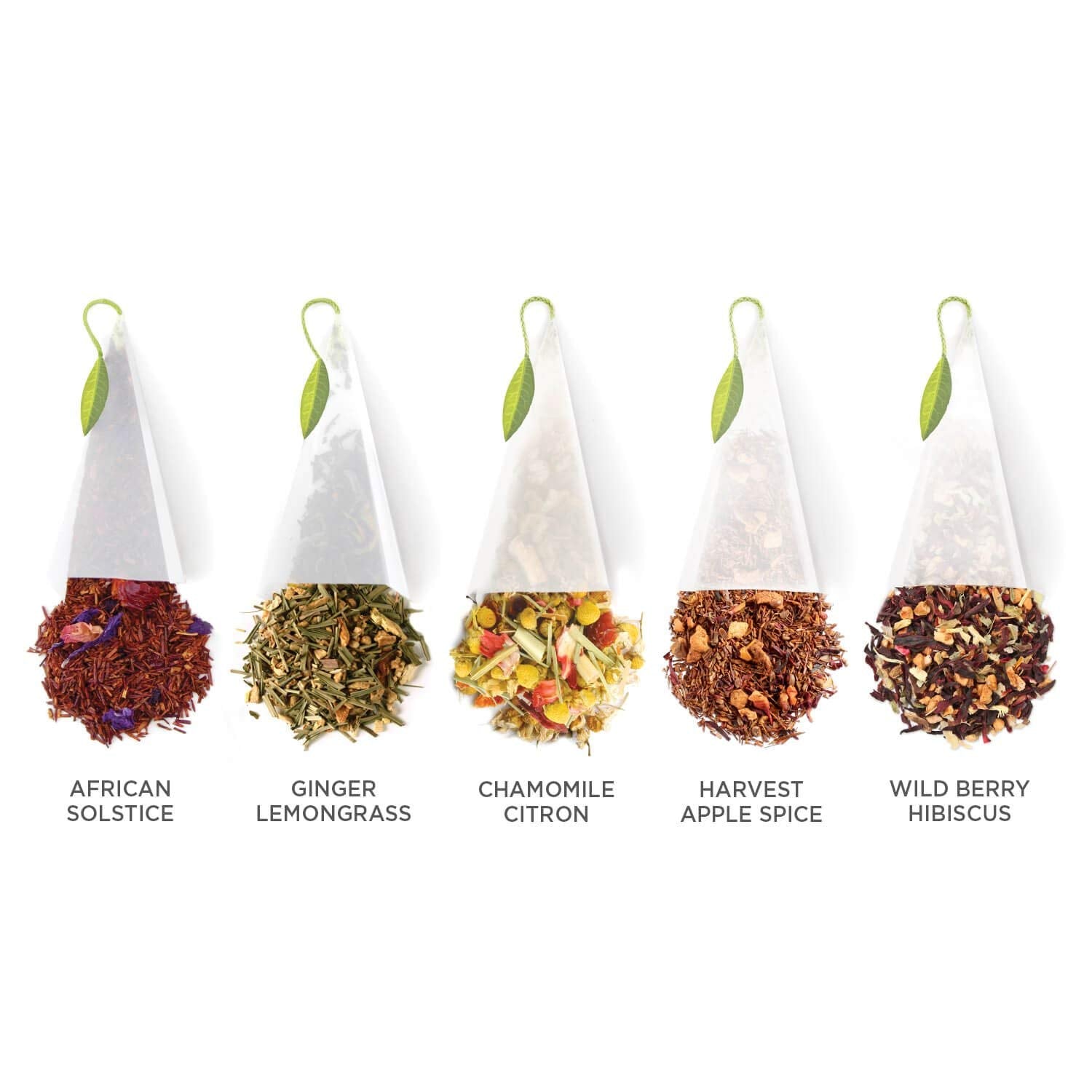 Five Tea Forte blends shown together, clear view of variety and tasting options