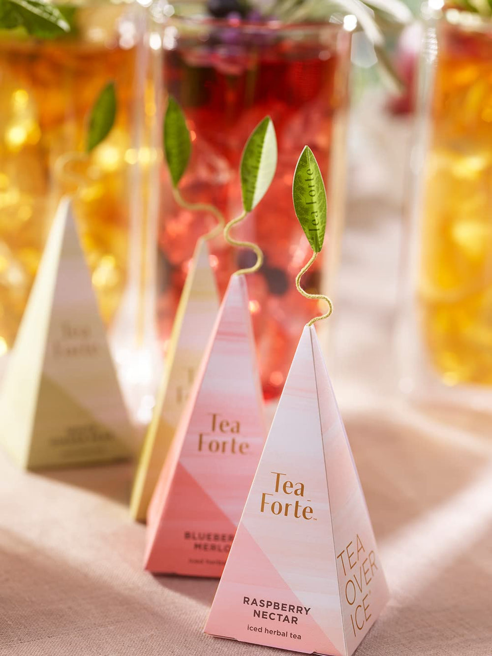 Tea Forte ingredient label photo highlighting hibiscus and fruit transparency benefit