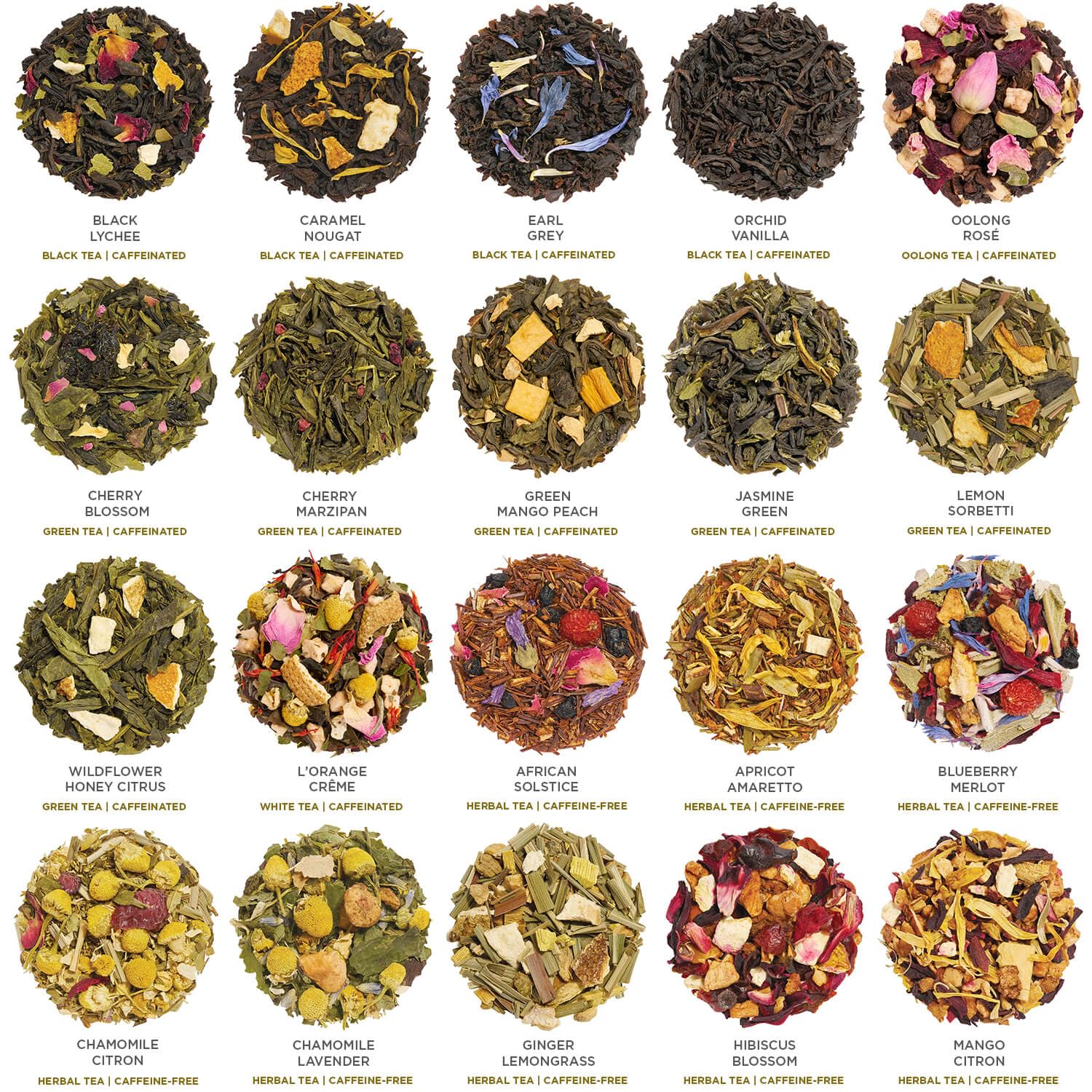 Tea Forté open chest displaying neatly arranged pyramid infusers and tasting guide