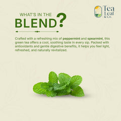 Tea Leaf & Co. pyramid tea bag close-up revealing natural blend benefits