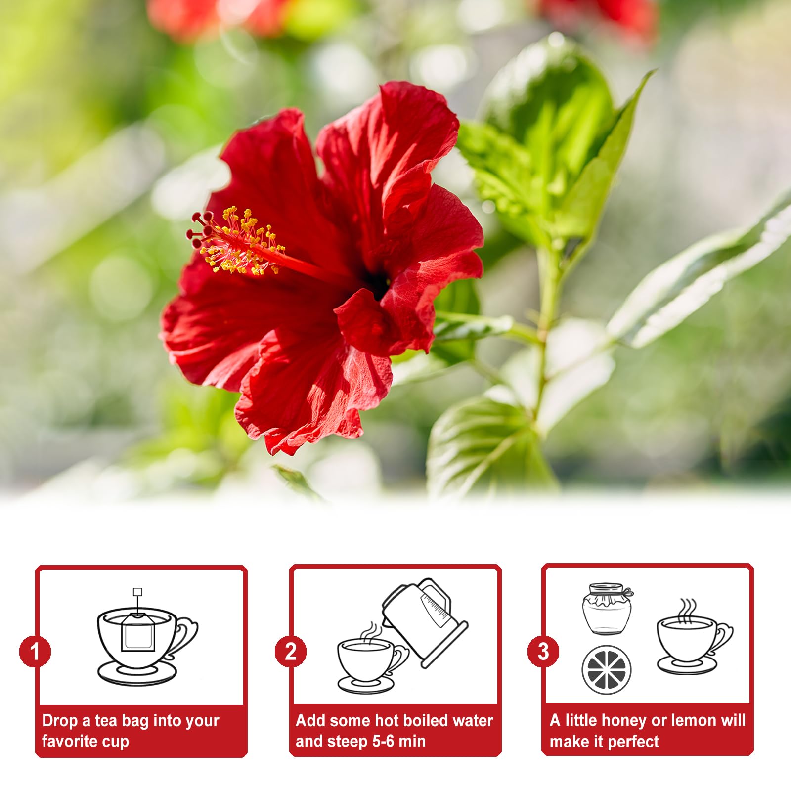 TEARELAE iced hibiscus pitcher with ice and garnish showing refreshing cold-brew option