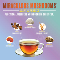 Teeccino ingredient spoons with mushroom extracts and cacao demonstrating concentrated blend