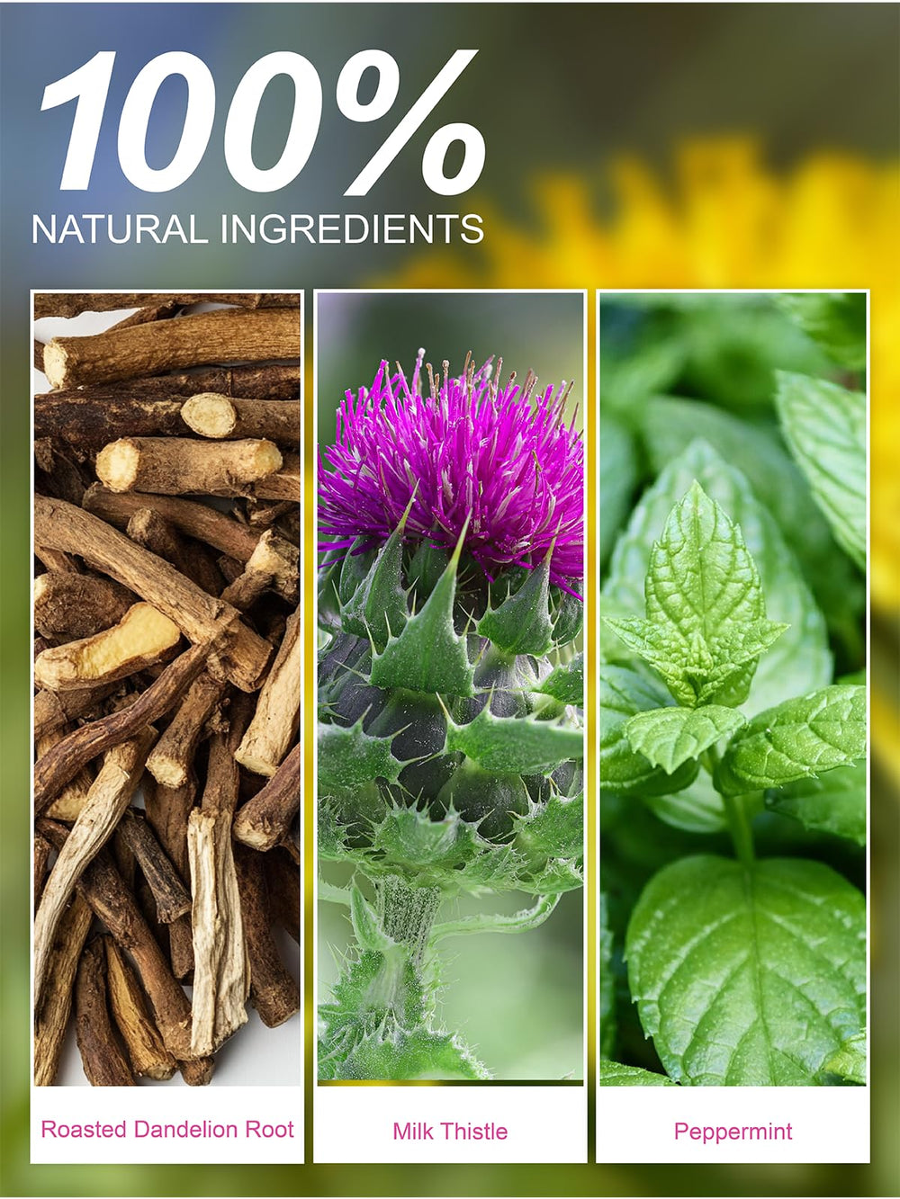 TeeLux roasted dandelion root milk thistle peppermint loose ingredients display freshness
