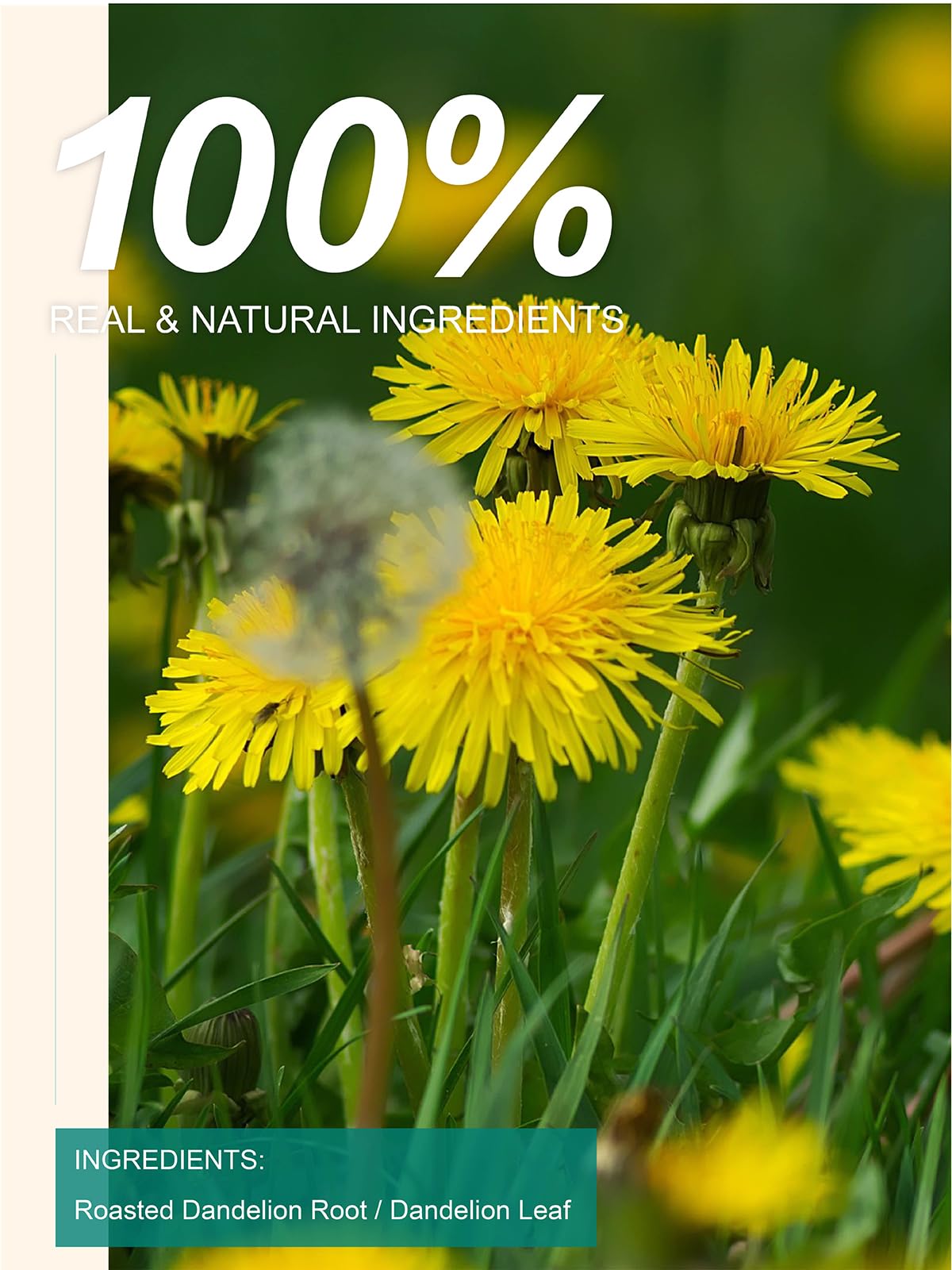 TeeLux roasted dandelion root close-up showing rich toasted texture benefit