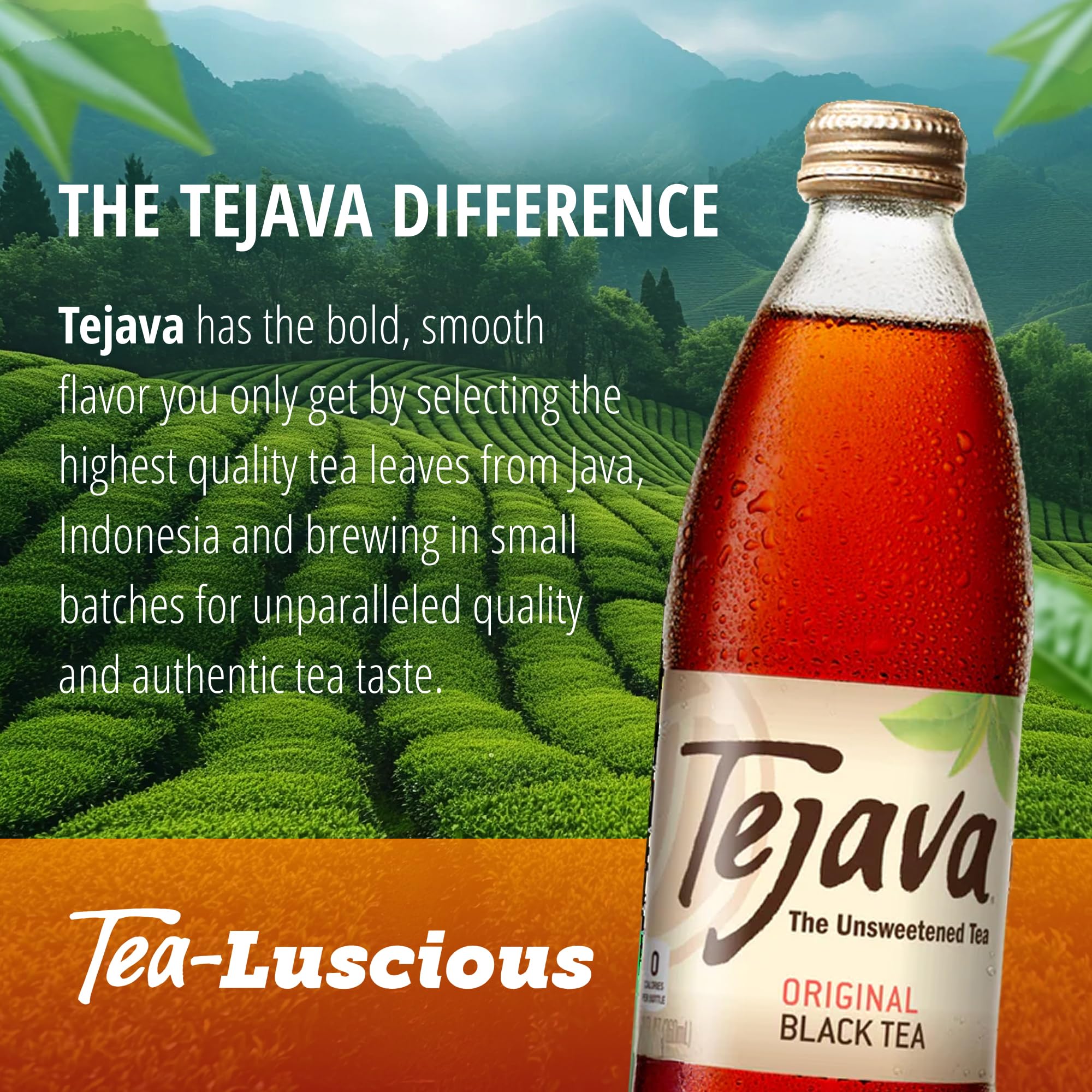 Tejava farm-to-bottle scene linking Rainforest Alliance sourcing and quality
