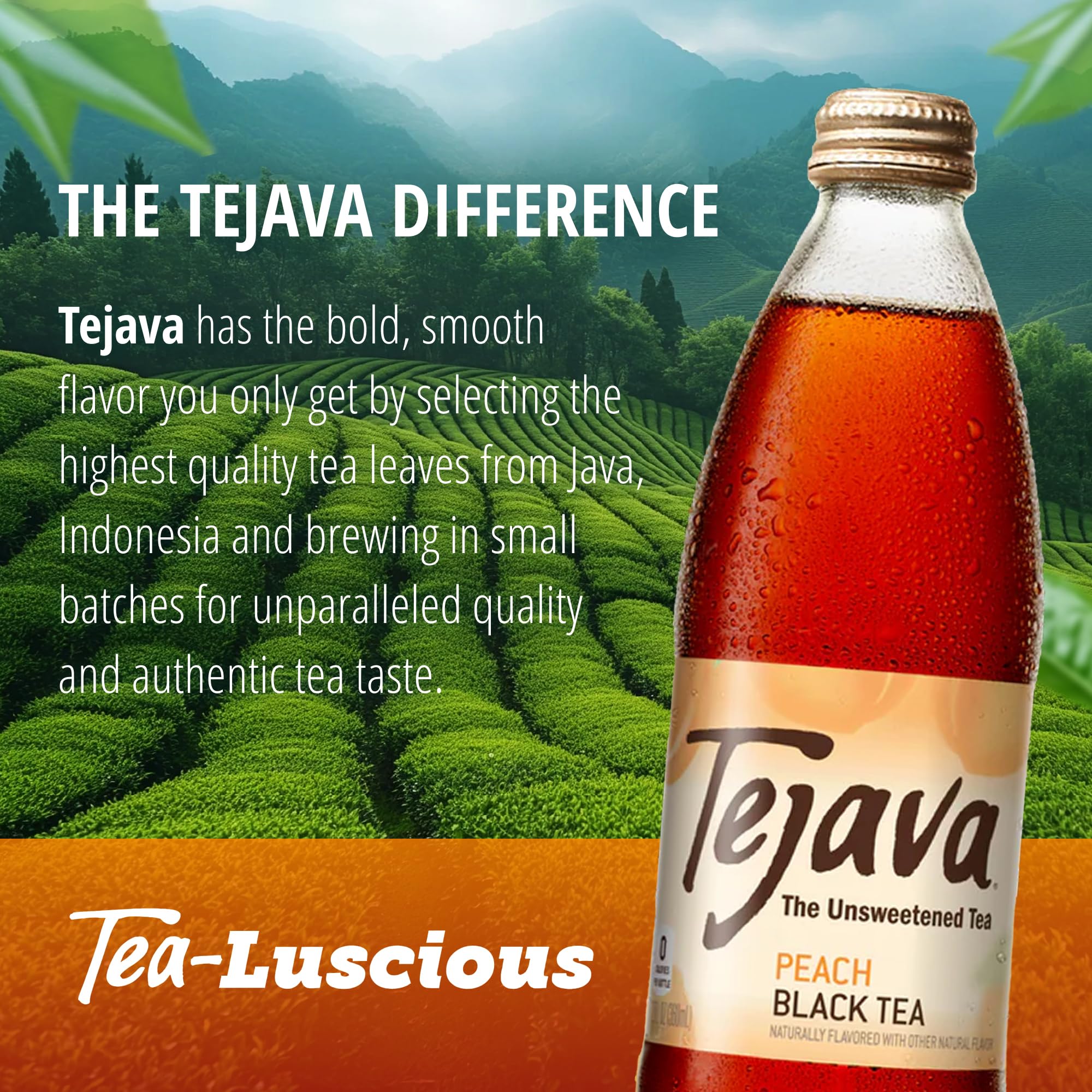 Tejava bottle size comparison in hand showing convenient portable portion