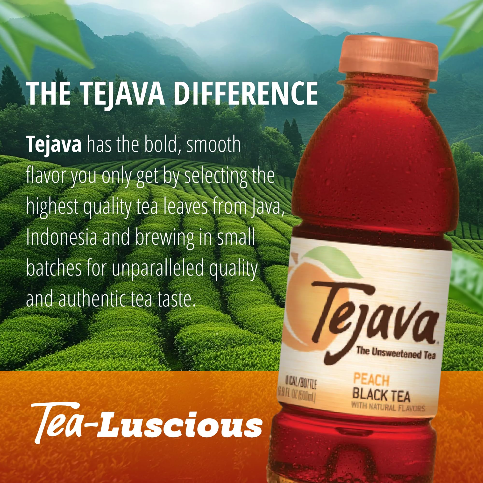 Tejava bottle at an outdoor picnic demonstrating on-the-go refreshment benefit