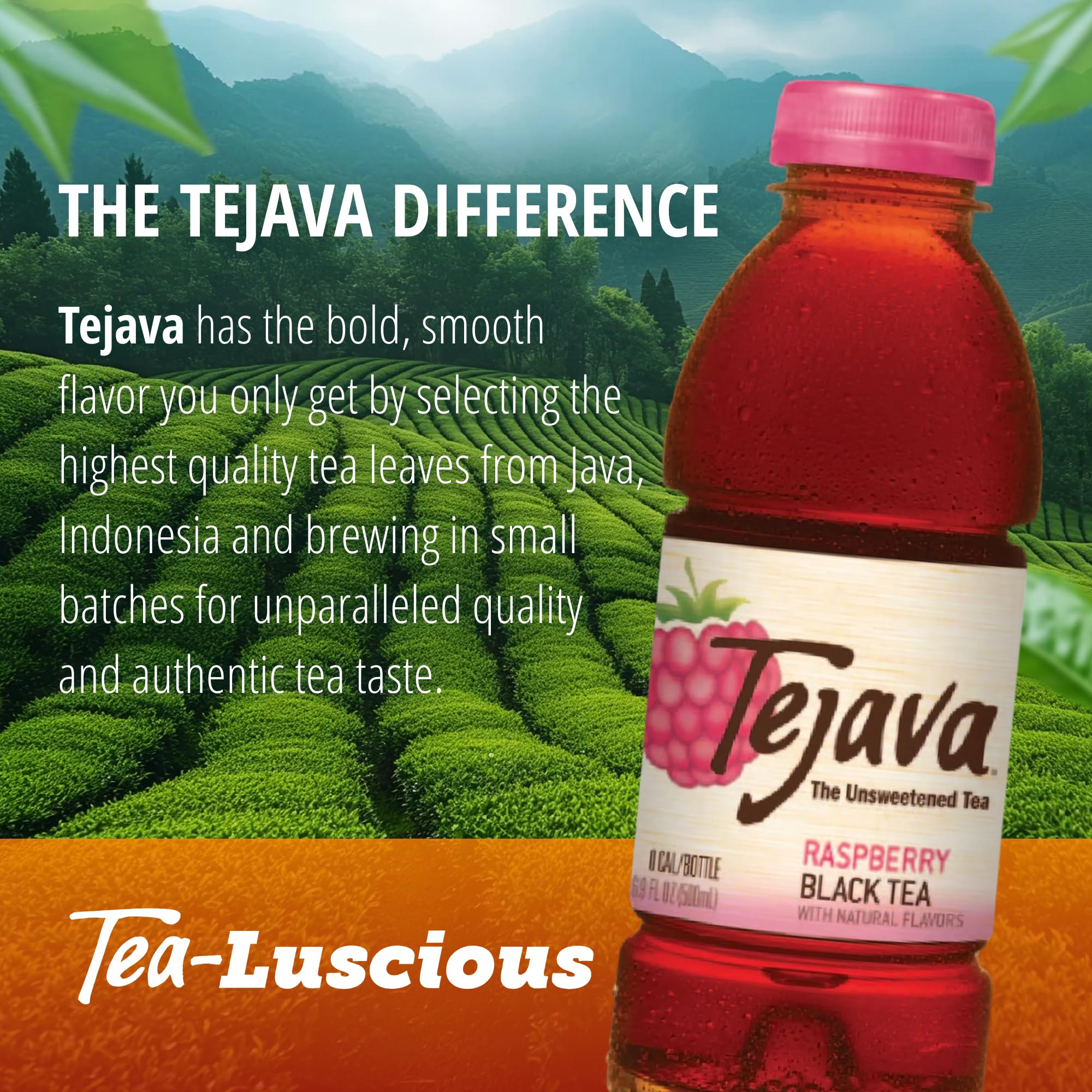 Tejava raspberry on picnic blanket demonstrating shareable, low-sugar option