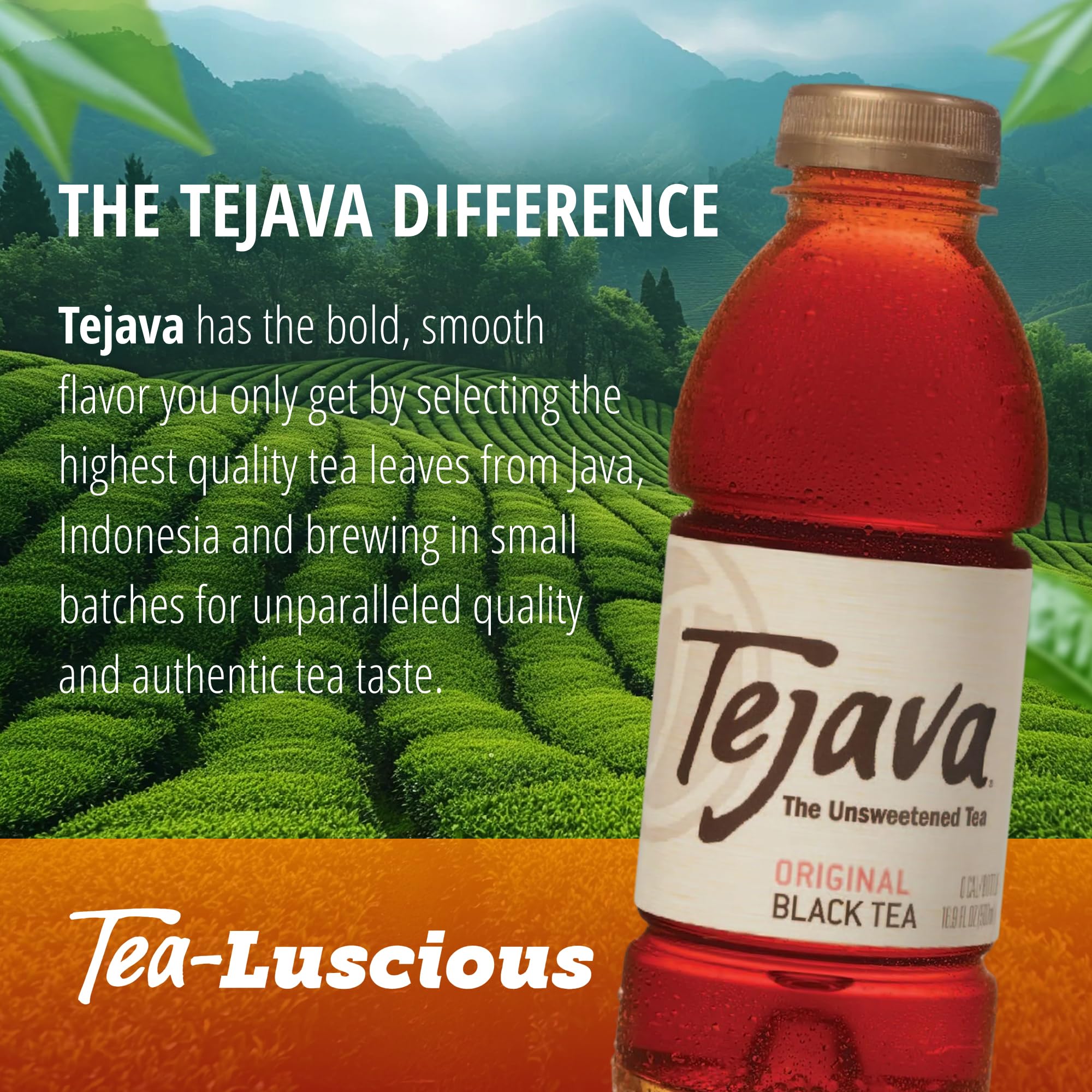 Tejava tea leaves from Java showing quality sourcing and bold brewed flavor