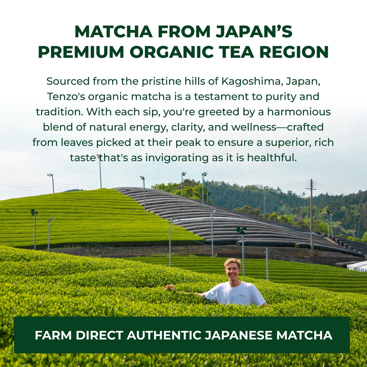 Tenzo matcha used in a cake showing bright natural color and baking use