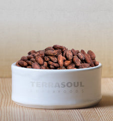 Terrasoul Superfoods cacao nibs made from beans showing crunchy texture and culinary use