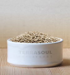 Terrasoul Superfoods seeds in a bowl as a serving suggestion for salads and snacks
