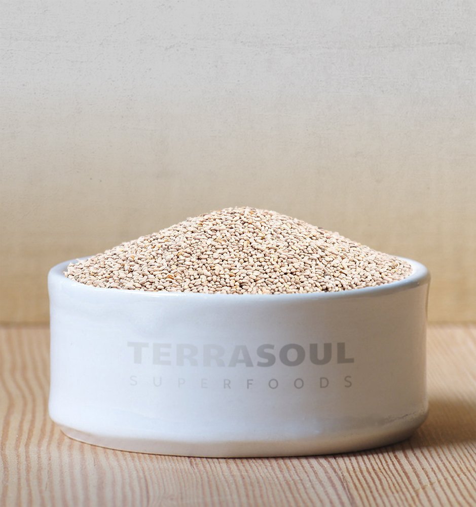 Terrasoul Superfoods chia pudding in glass showing creamy texture and appeal