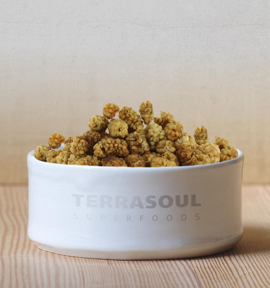 Terrasoul Superfoods mulberries in a bowl beside yogurt illustrating easy topping use