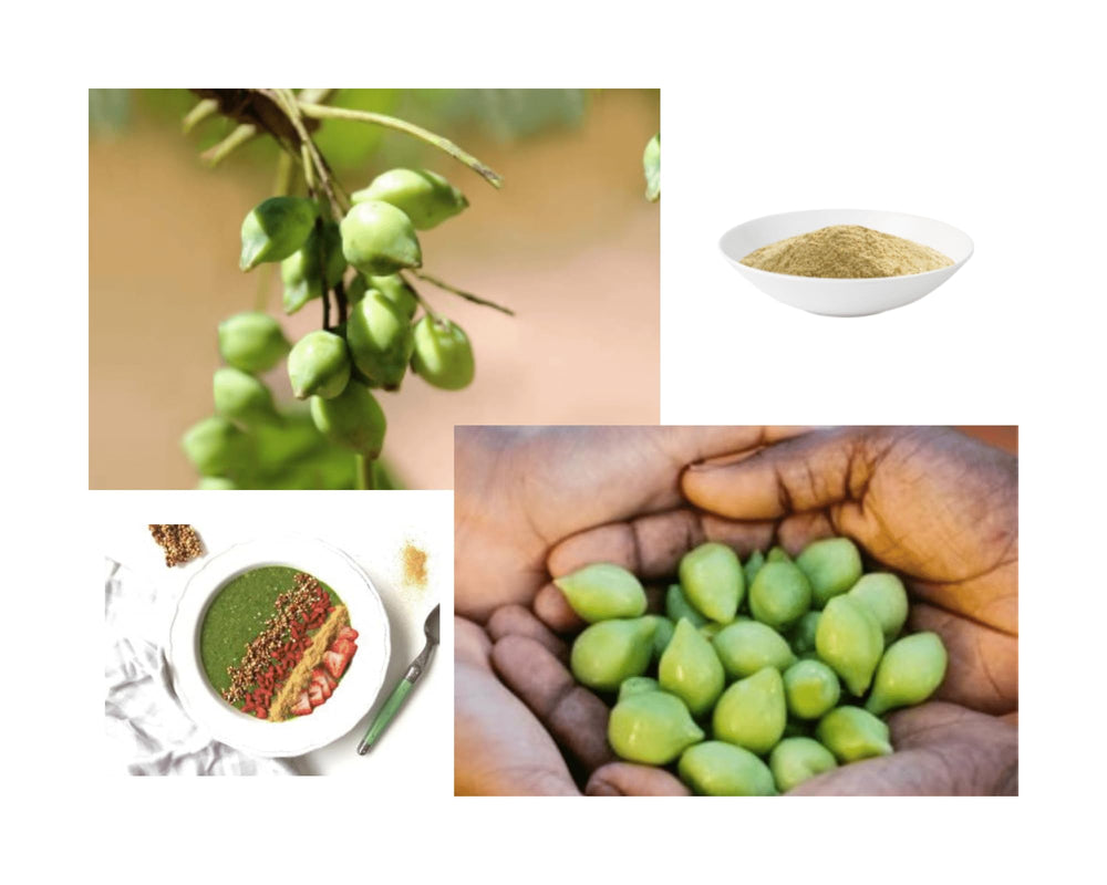 THE AUSTRALIAN SUPERFOOD close-up of freeze-dried Kakadu Plum powder texture showing fine, vivid powder ideal for mixing