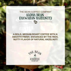 The Bean ground coffee heap displaying medium grind texture, highlights easy brewing and consistent extraction