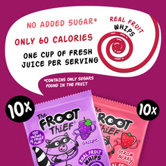 THE FROOT THIEF individually wrapped bag emphasizing portion control benefit