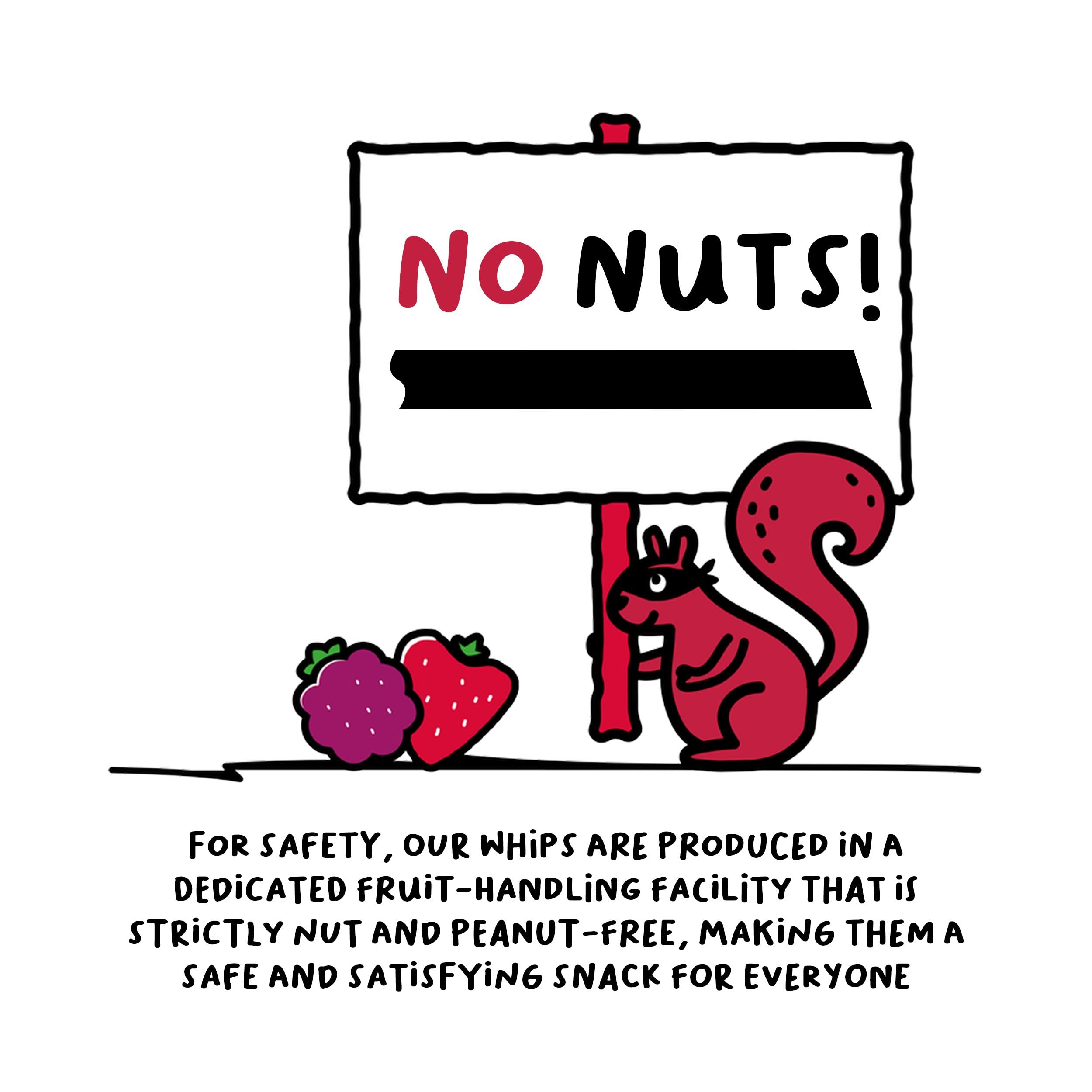 THE FROOT THIEF ingredient label close-up highlighting clean-ingredient benefit