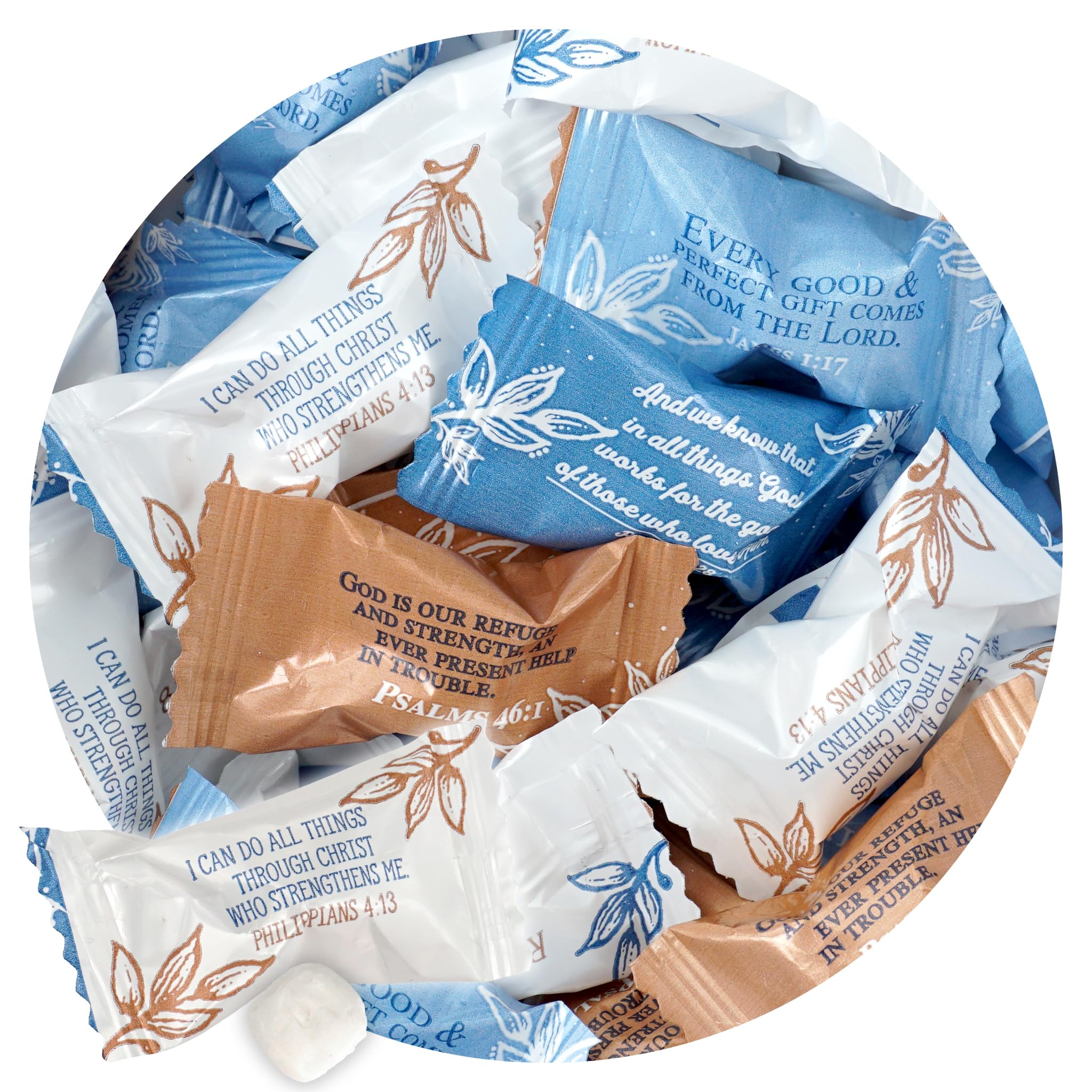 THE HAMPTON CANDY COMPANY front bag image shows bulk packaging and easy serving