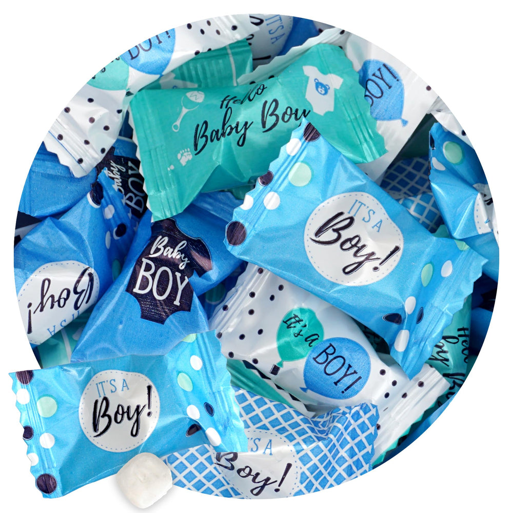 THE HAMPTON CANDY COMPANY front of bag highlighting 13-ounce bulk packaging and count