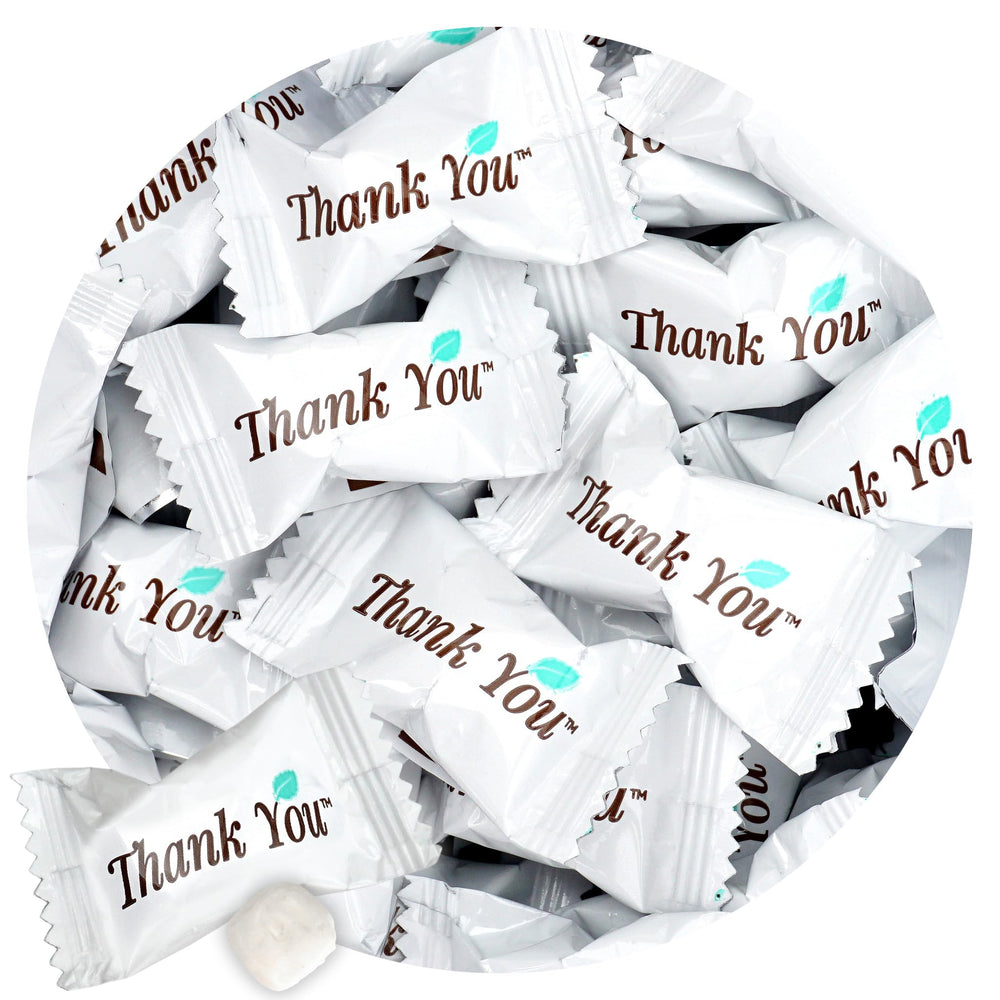 THE HAMPTON CANDY COMPANY front bag view shows clear branding and portion size benefit