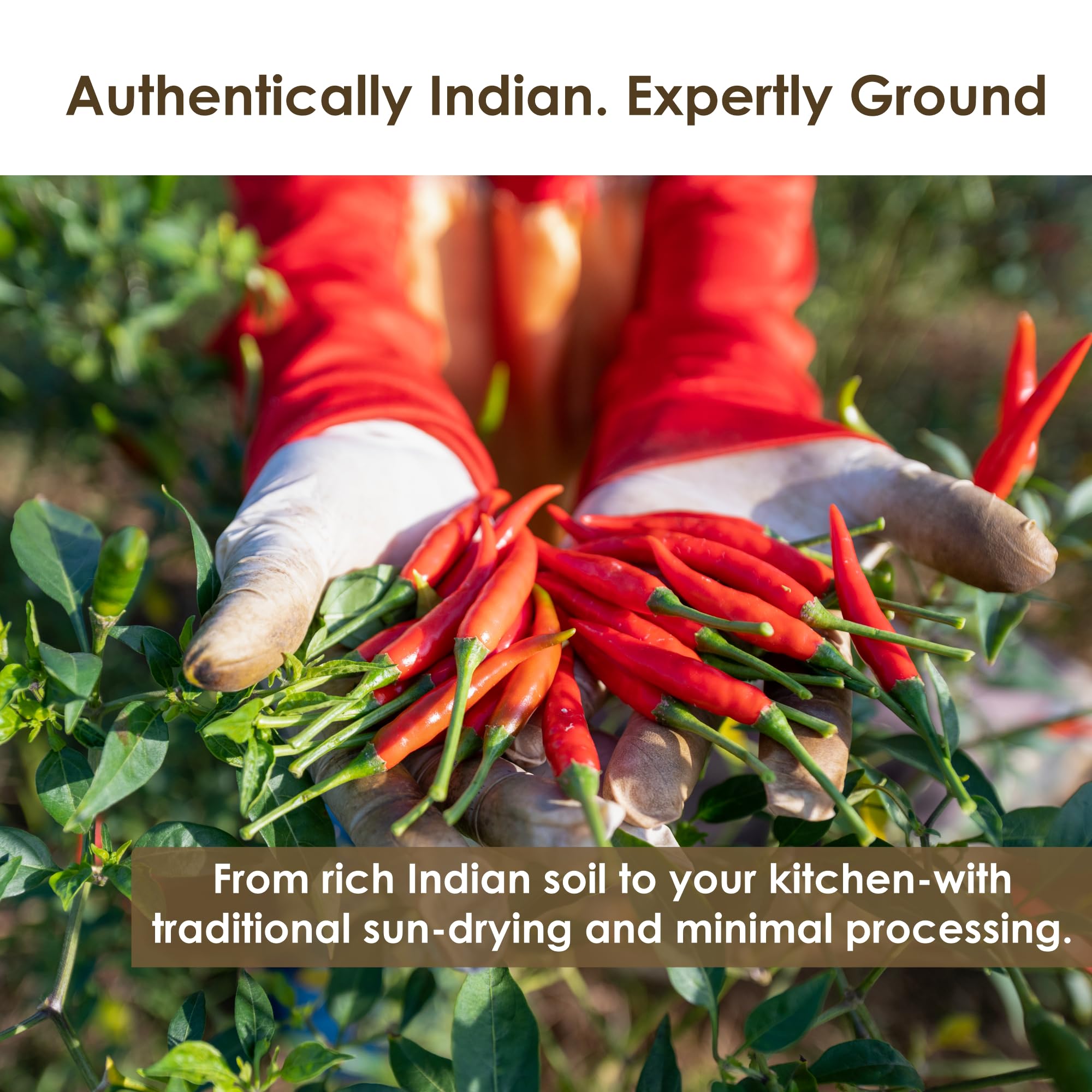 THE HOLLY TREE cayenne in dry rub on grilled meat, highlighting bold flavor enhancement
