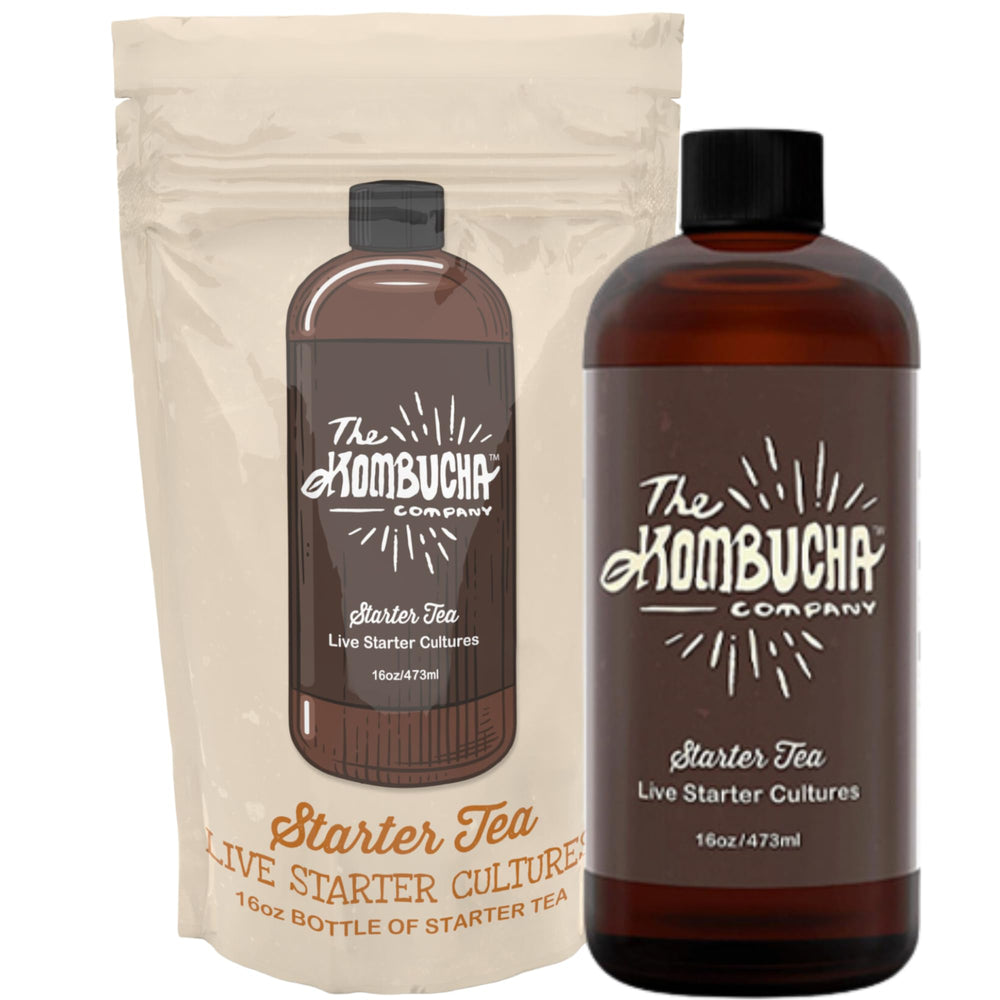 The Kombucha Company front bottle view showing label and live cultures benefit