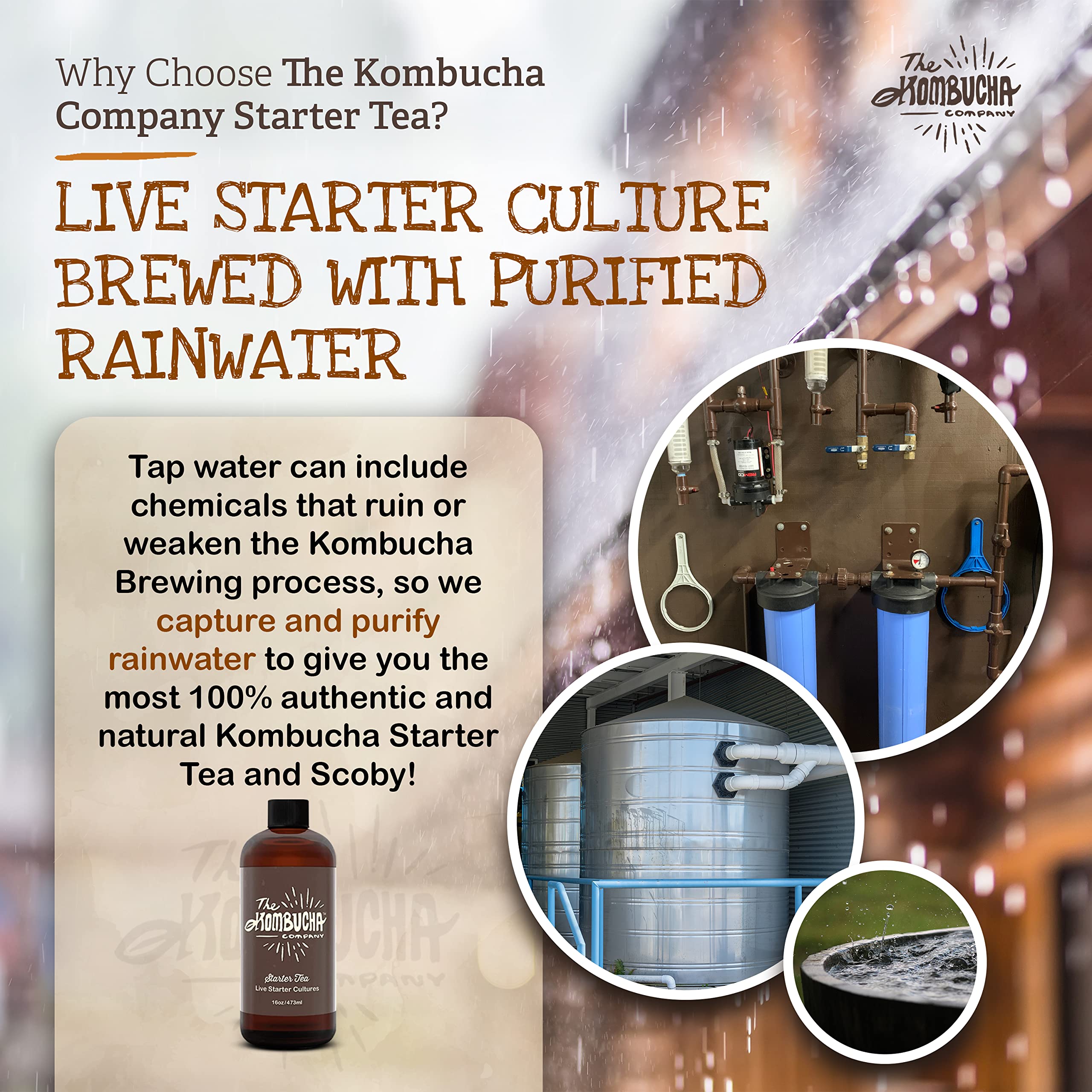 The Kombucha Company pouring starter into cooled tea to kickstart fermentation benefit