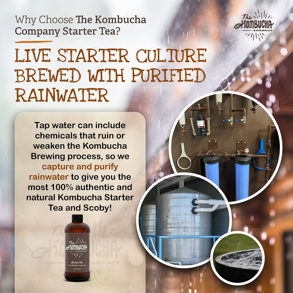 The Kombucha Company pouring starter into cooled tea to kickstart fermentation benefit