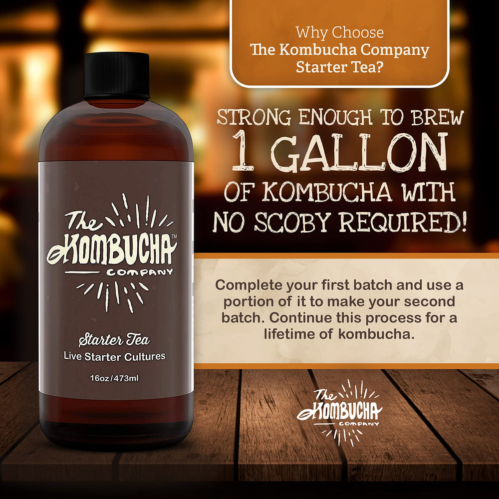 The Kombucha Company demonstrating SCOBY growth on fermented surface for consistency