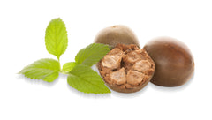 THE MIX SUPERFOODS spoon with monk fruit powder ready to add for fast, zero-calorie sweetness