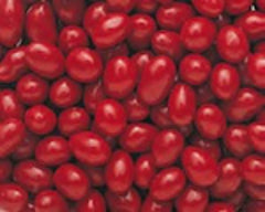 The Nutty Fruit House front packaging showing 5 lb bag and red candy-coated peanuts for sharing