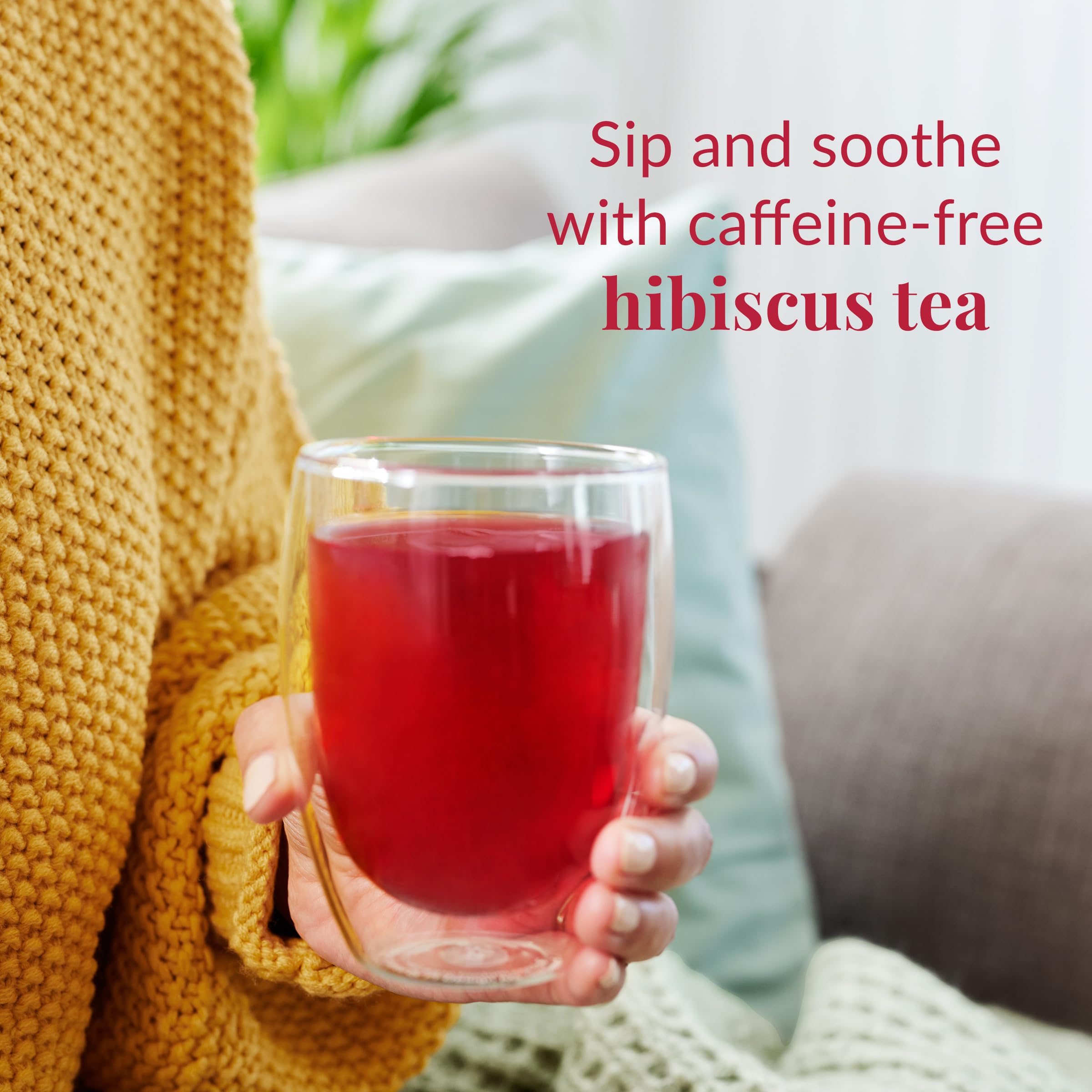 The Republic of Tea brewed hot cup displaying vibrant hibiscus color