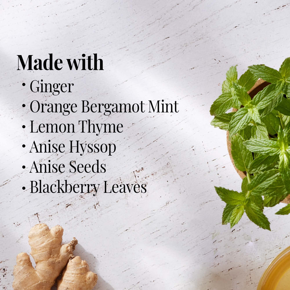 Loose blend ingredients for The Republic of Tea showing ginger and mint for fresh aroma