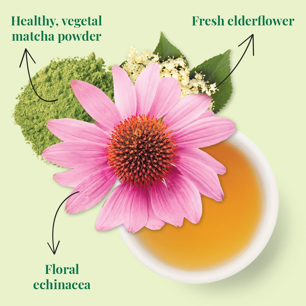 The Republic of Tea matcha powder and green leaves close-up illustrating quality ingredients