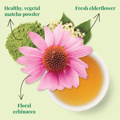 The Republic of Tea matcha powder and green leaves close-up illustrating quality ingredients