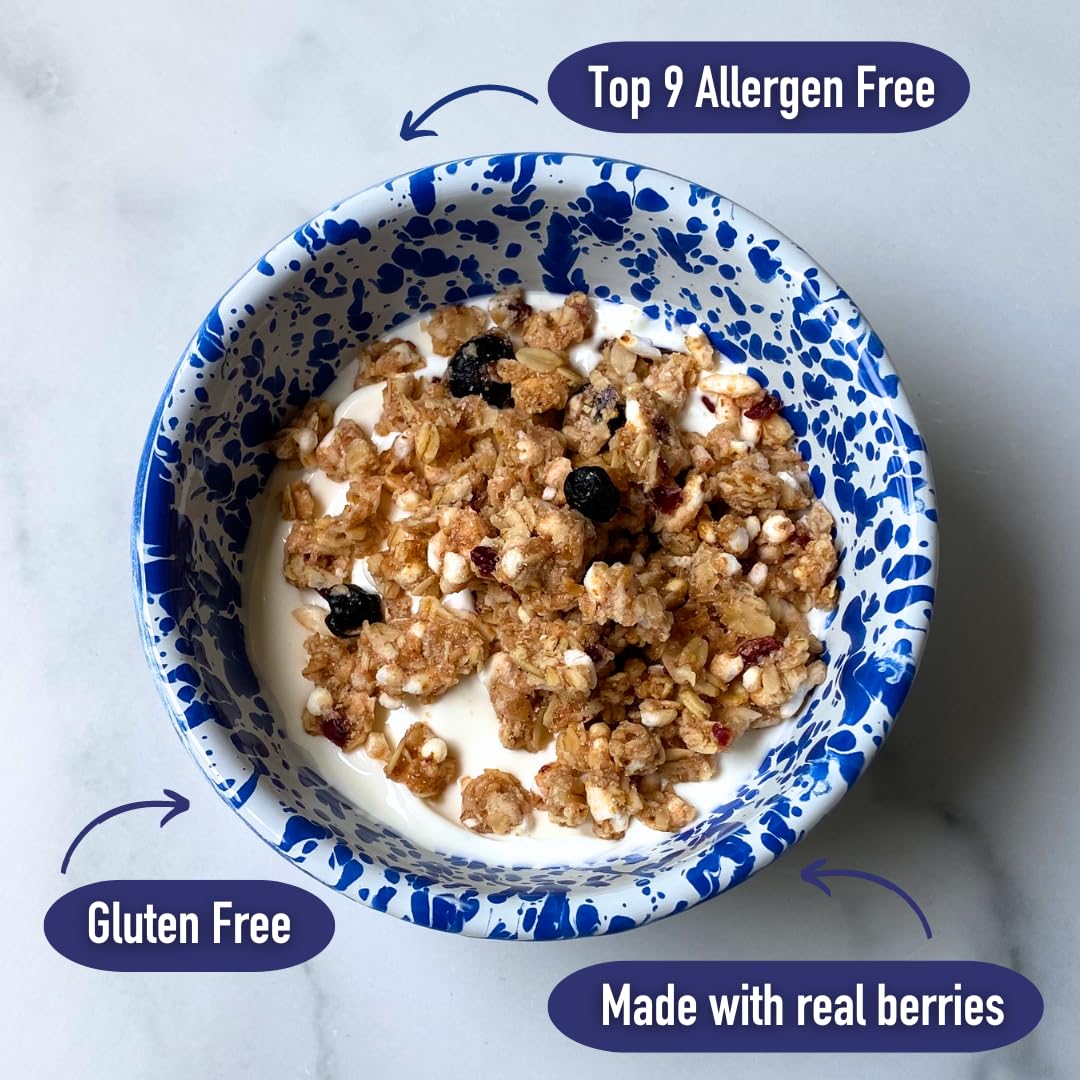 The Safe + Fair Food Company texture of toasted gluten-free oats displaying crunchy whole-grain benefit