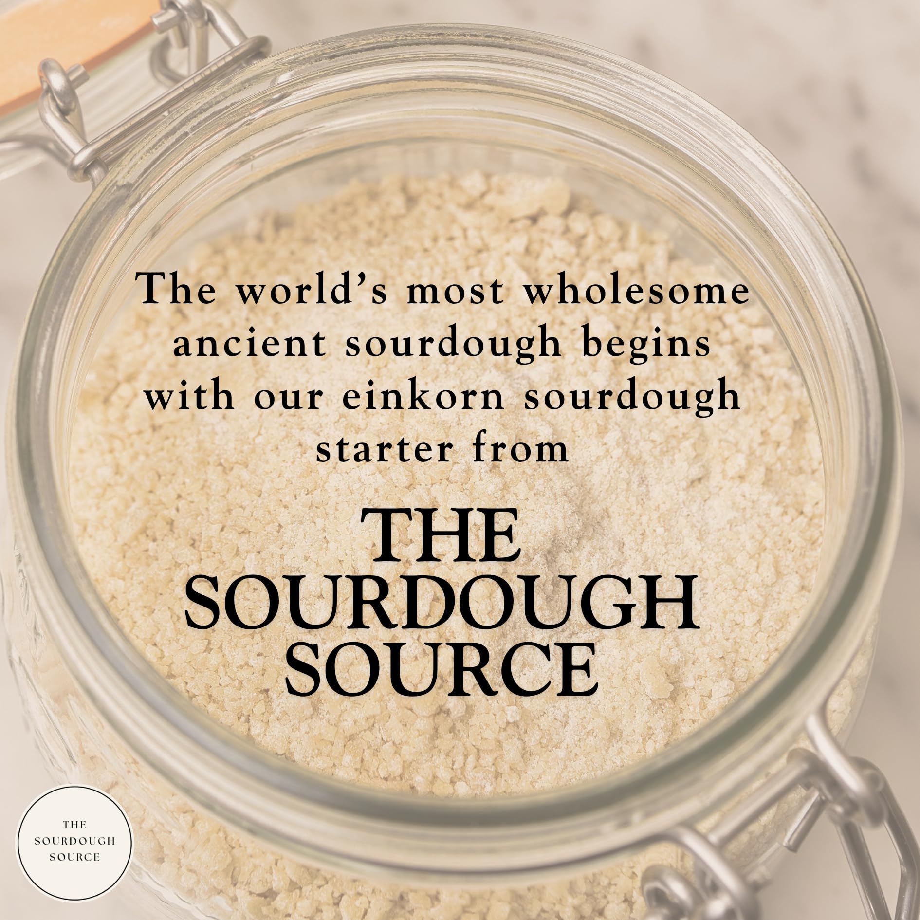 The Sourdough Source pizza dough made with starter showing flexible, airy crust