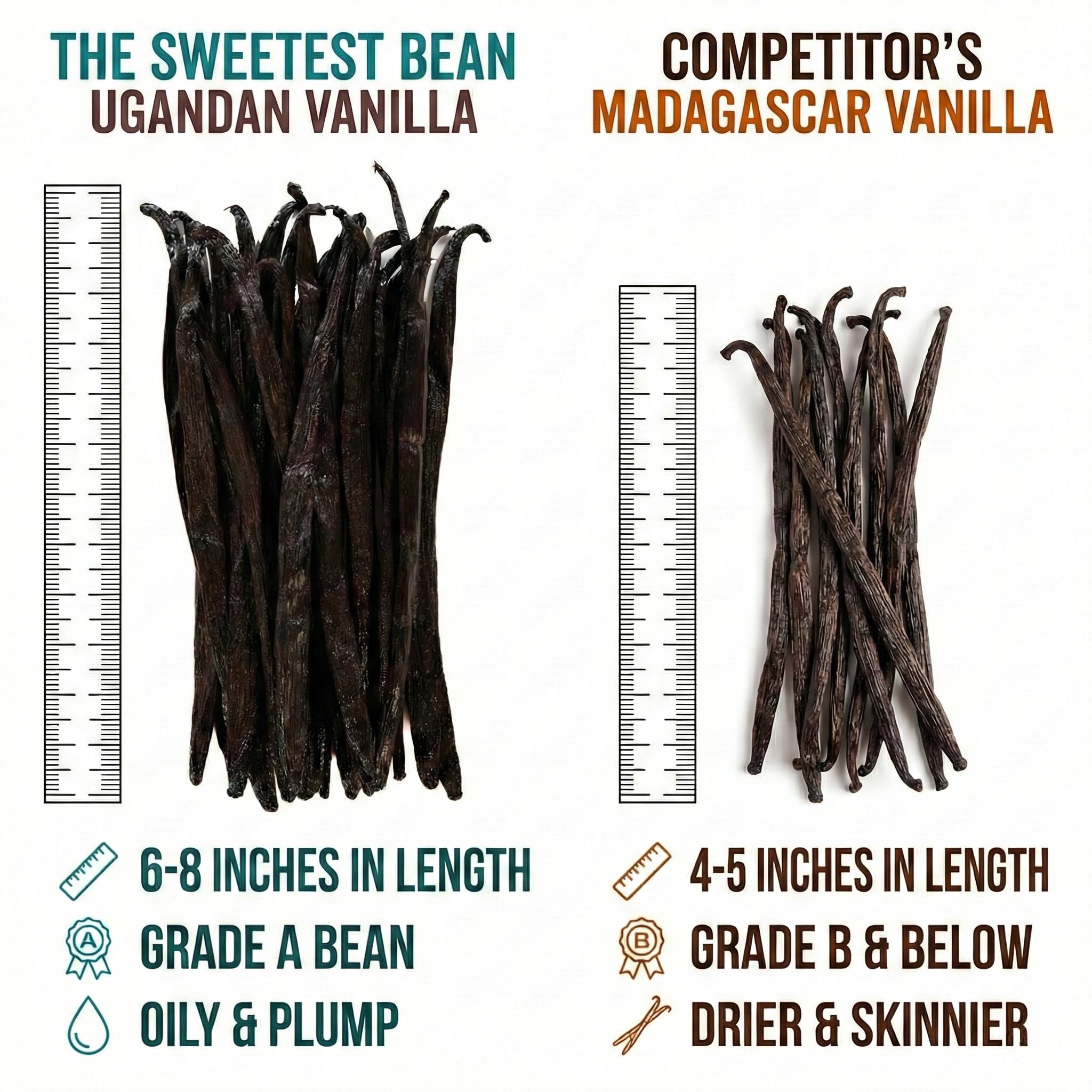 The Sweetest Bean close-up of oily vanilla bean surface highlighting freshness and aroma