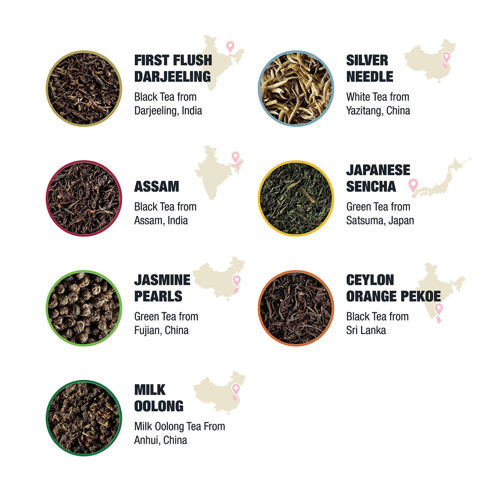 Tiesta Tea Jasmine Pearls steeped in cup showing fragrant infusion and visual appeal