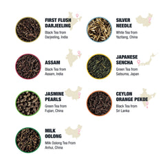 Tiesta Tea Jasmine Pearls steeped in cup showing fragrant infusion and visual appeal
