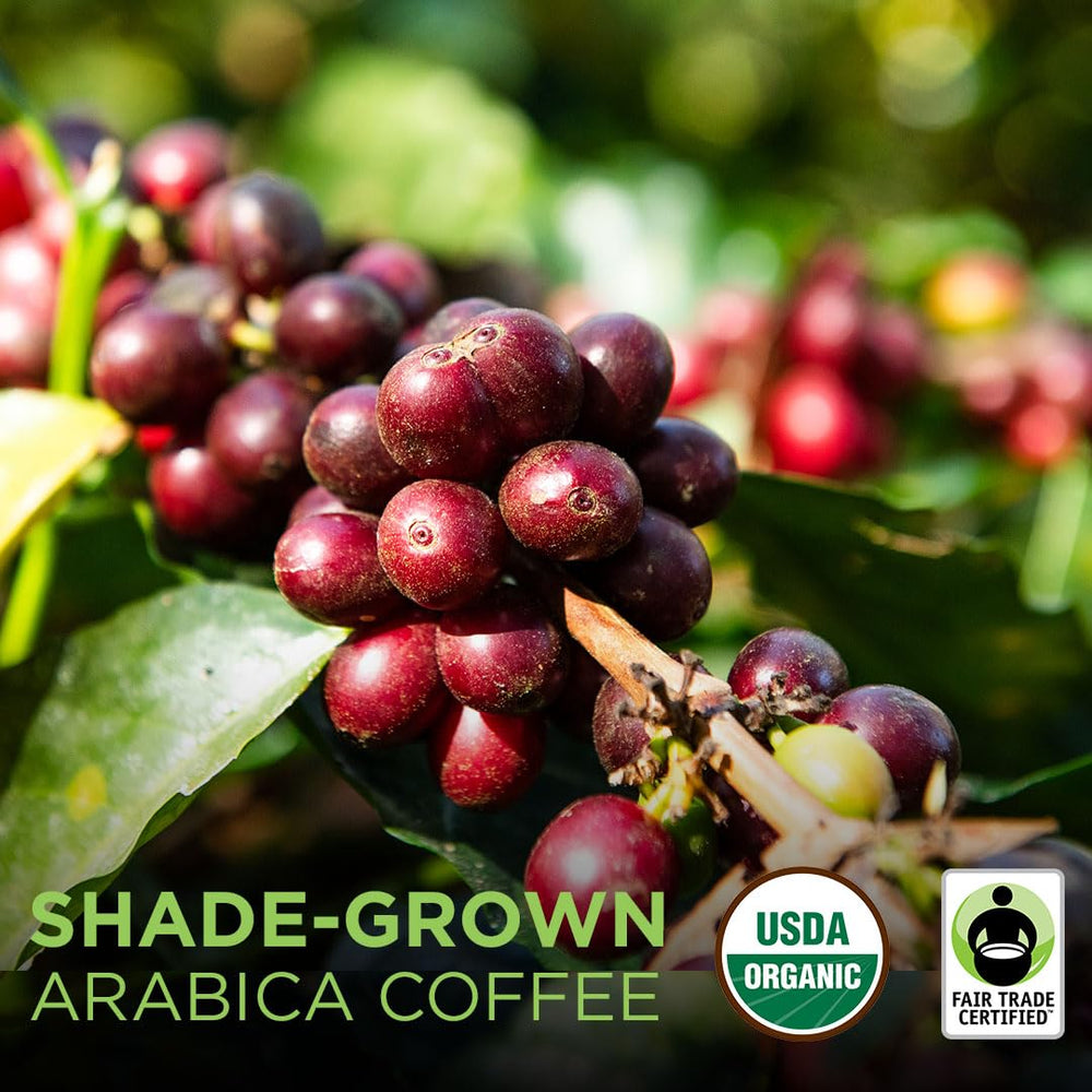 Tiny Footprint Coffee brewed cup in lifestyle setting showing balanced flavor benefit