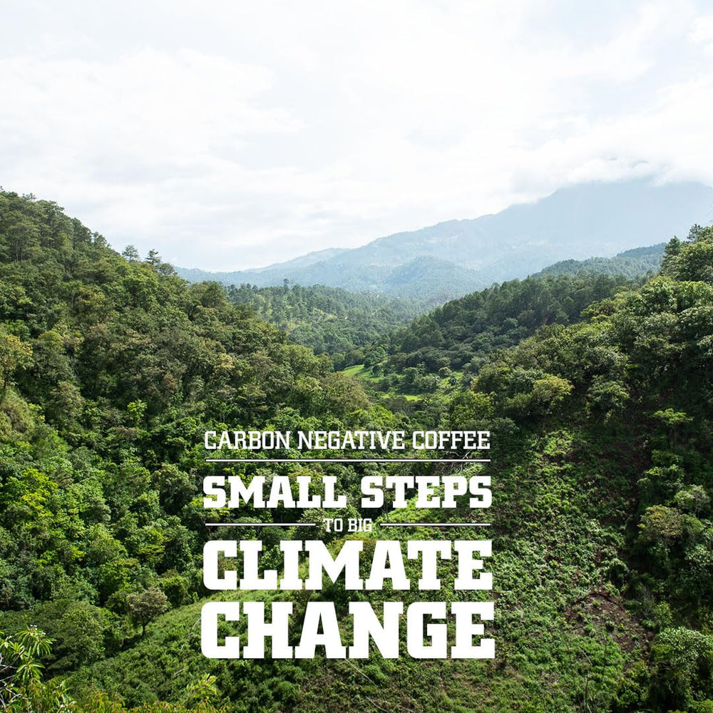 Tiny Footprint Coffee Mindo reforestation map showing conservation impact and climate benefit